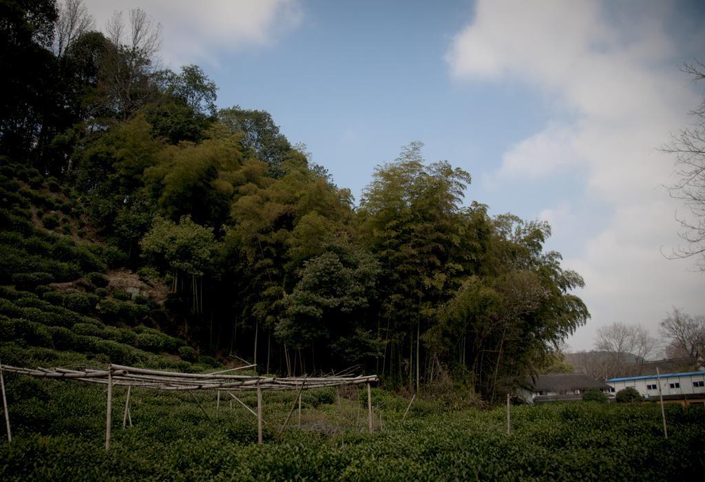 Hangzhou Banyan Art House المظهر الخارجي الصورة